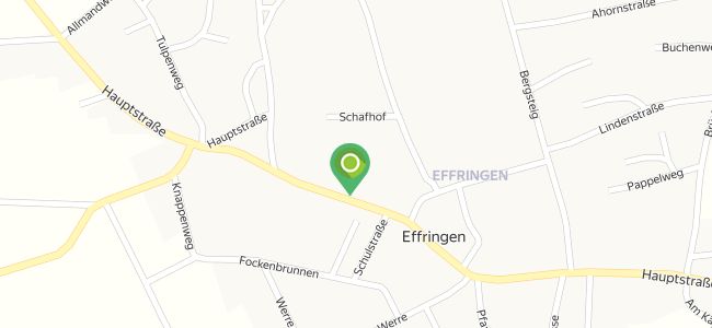 Erl Energy, Wildberg